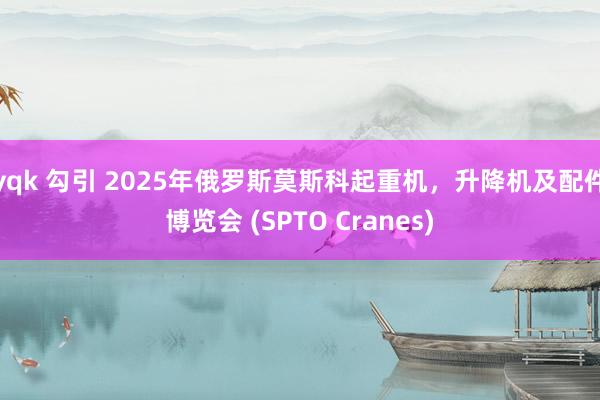 yqk 勾引 2025年俄罗斯莫斯科起重机，升降机及配件博览会 (SPTO Cranes)