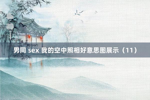 男同 sex 我的空中照相好意思图展示（11）