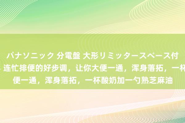 パナソニック 分電盤 大形リミッタースペース付 露出・半埋込両用形 连忙排便的好步调，让你大便一通，浑身落拓，一杯酸奶加一勺熟芝麻油