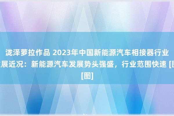 泷泽萝拉作品 2023年中国新能源汽车相接器行业发展近况：新能源汽车发展势头强盛，行业范围快速 [图]