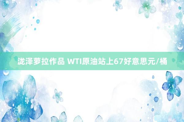 泷泽萝拉作品 WTI原油站上67好意思元/桶