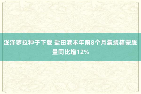 泷泽萝拉种子下载 盐田港本年前8个月集装箱蒙胧量同比增12%