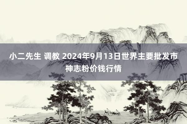 小二先生 调教 2024年9月13日世界主要批发市神志粉价钱行情