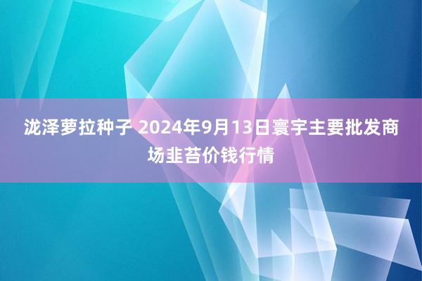 泷泽萝拉种子 2024年9月13日寰宇主要批发商场韭苔价钱行情