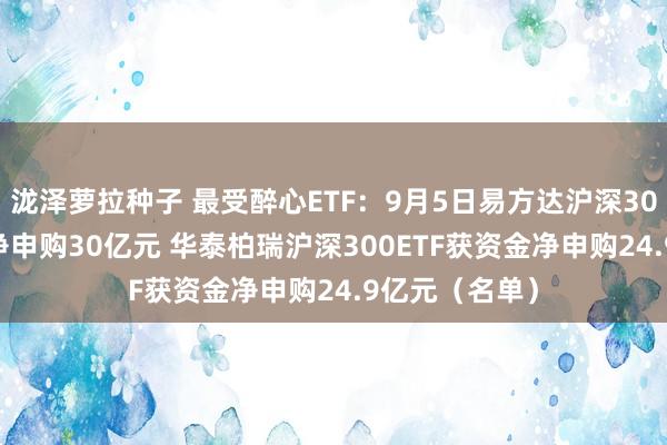 泷泽萝拉种子 最受醉心ETF：9月5日易方达沪深300ETF获资金净申购30亿元 华泰柏瑞沪深300ETF获资金净申购24.9亿元（名单）