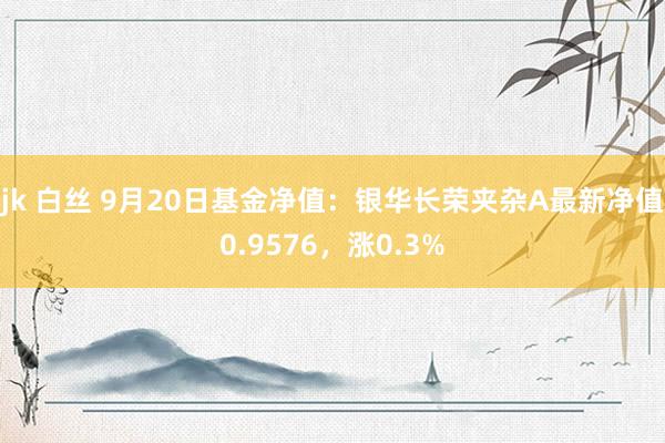 jk 白丝 9月20日基金净值：银华长荣夹杂A最新净值0.9576，涨0.3%