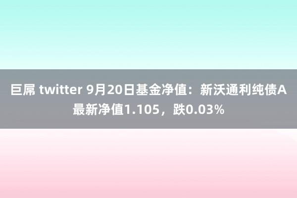 巨屌 twitter 9月20日基金净值：新沃通利纯债A最新净值1.105，跌0.03%