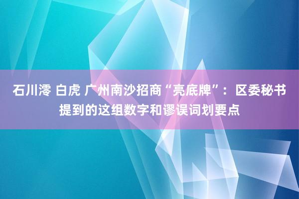 石川澪 白虎 广州南沙招商“亮底牌”：区委秘书提到的这组数字和谬误词划要点