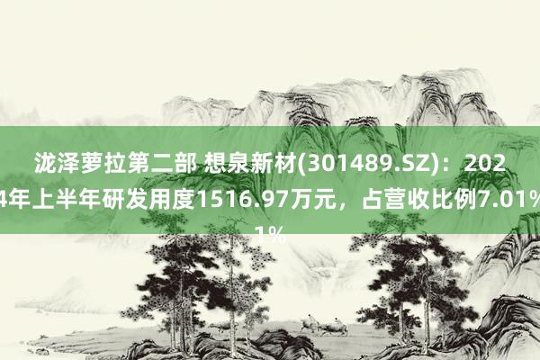 泷泽萝拉第二部 想泉新材(301489.SZ)：2024年上半年研发用度1516.97万元，占营收比例7.01%