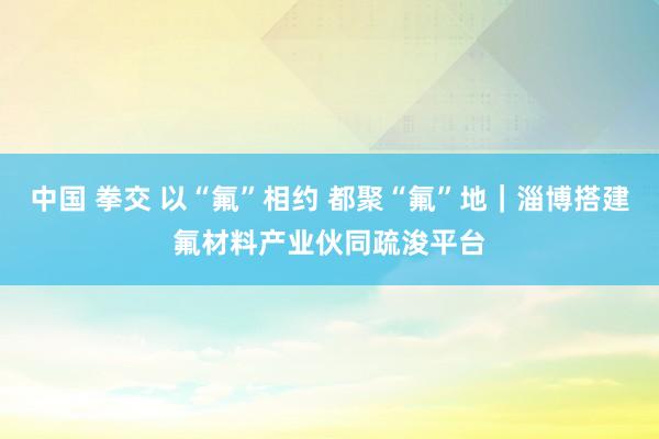 中国 拳交 以“氟”相约 都聚“氟”地｜淄博搭建氟材料产业伙同疏浚平台