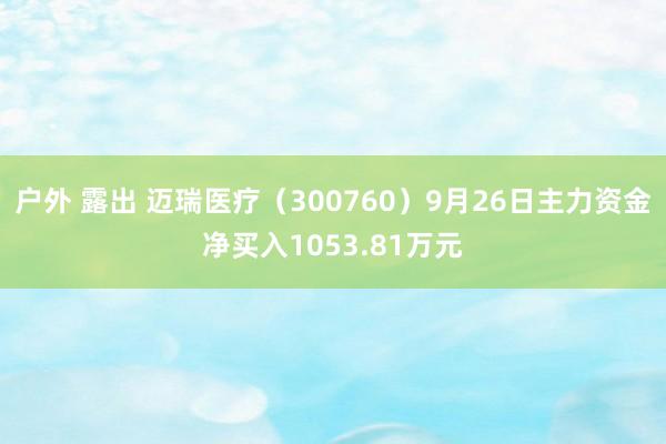 户外 露出 迈瑞医疗（300760）9月26日主力资金净买入1053.81万元