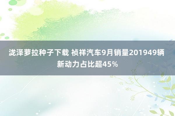 泷泽萝拉种子下载 祯祥汽车9月销量201949辆 新动力占比超45%