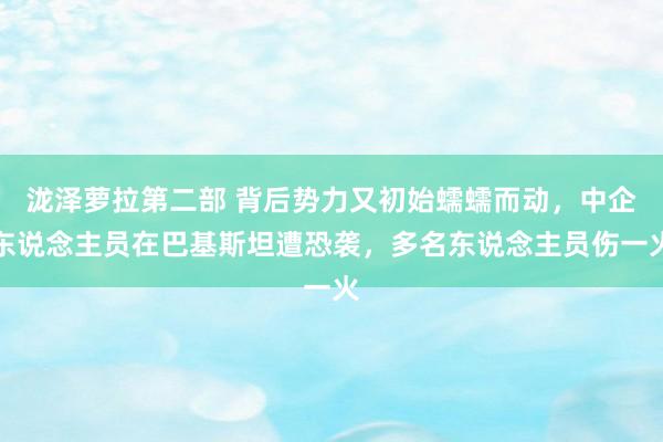 泷泽萝拉第二部 背后势力又初始蠕蠕而动，中企东说念主员在巴基斯坦遭恐袭，多名东说念主员伤一火