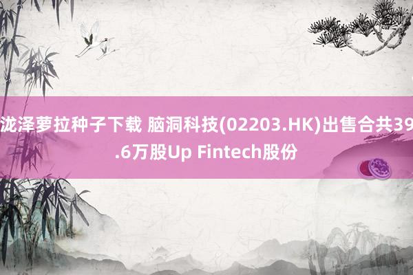 泷泽萝拉种子下载 脑洞科技(02203.HK)出售合共39.6万股Up Fintech股份