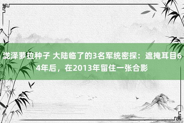 泷泽萝拉种子 大陆临了的3名军统密探：遮掩耳目64年后，在2013年留住一张合影