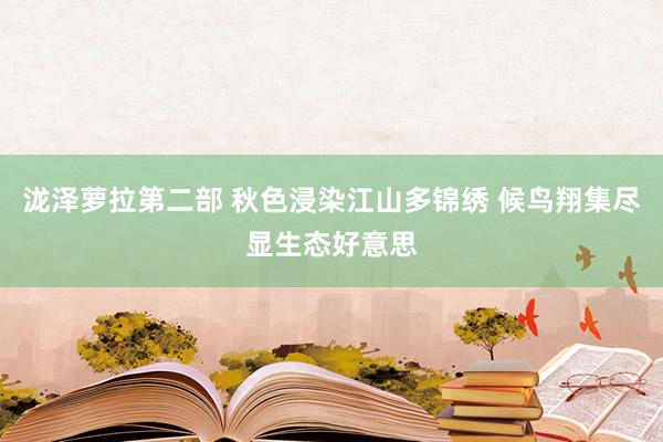 泷泽萝拉第二部 秋色浸染江山多锦绣 候鸟翔集尽显生态好意思