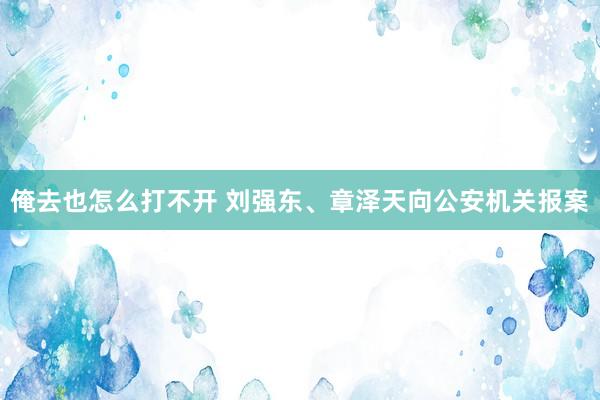 俺去也怎么打不开 刘强东、章泽天向公安机关报案