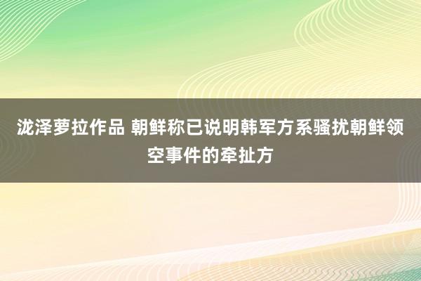 泷泽萝拉作品 朝鲜称已说明韩军方系骚扰朝鲜领空事件的牵扯方