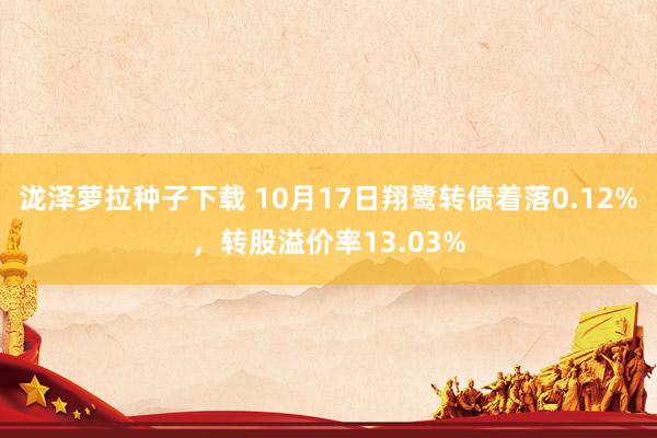 泷泽萝拉种子下载 10月17日翔鹭转债着落0.12%，转股溢价率13.03%