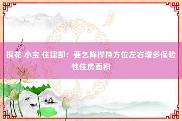 探花 小宝 住建部：要乞降撑持方位左右增多保险性住房面积