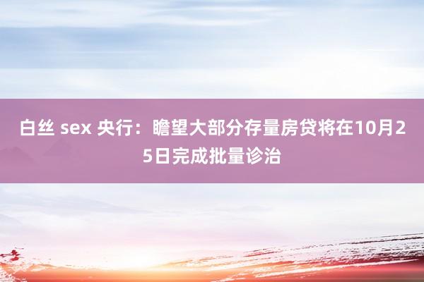 白丝 sex 央行：瞻望大部分存量房贷将在10月25日完成批量诊治