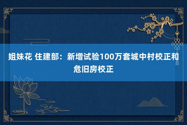 姐妹花 住建部：新增试验100万套城中村校正和危旧房校正