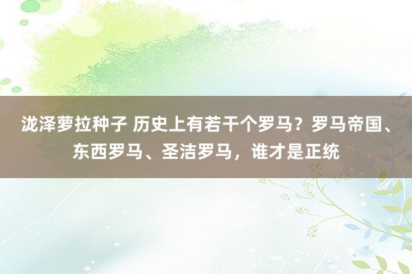 泷泽萝拉种子 历史上有若干个罗马？罗马帝国、东西罗马、圣洁罗马，谁才是正统