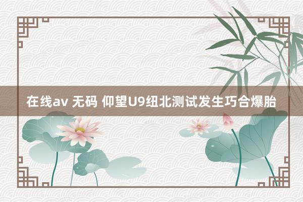 在线av 无码 仰望U9纽北测试发生巧合爆胎