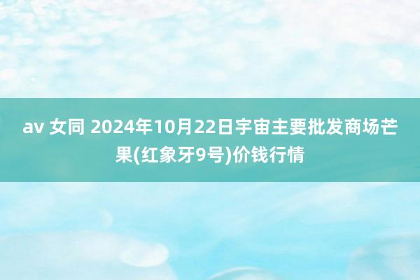 av 女同 2024年10月22日宇宙主要批发商场芒果(红象牙9号)价钱行情