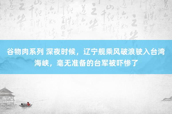 谷物肉系列 深夜时候，辽宁舰乘风破浪驶入台湾海峡，毫无准备的台军被吓惨了