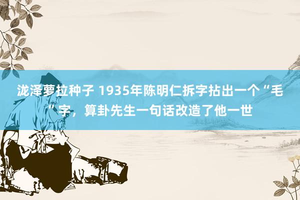 泷泽萝拉种子 1935年陈明仁拆字拈出一个“毛”字，算卦先生一句话改造了他一世