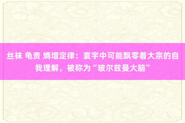 丝袜 龟责 熵增定律：寰宇中可能飘零着大宗的自我理解，被称为“玻尔兹曼大脑”