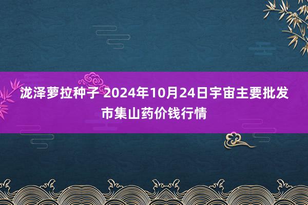 泷泽萝拉种子 2024年10月24日宇宙主要批发市集山药价钱行情