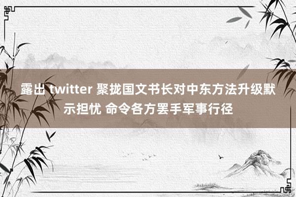 露出 twitter 聚拢国文书长对中东方法升级默示担忧 命令各方罢手军事行径