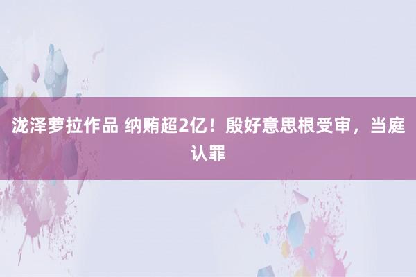 泷泽萝拉作品 纳贿超2亿！殷好意思根受审，当庭认罪