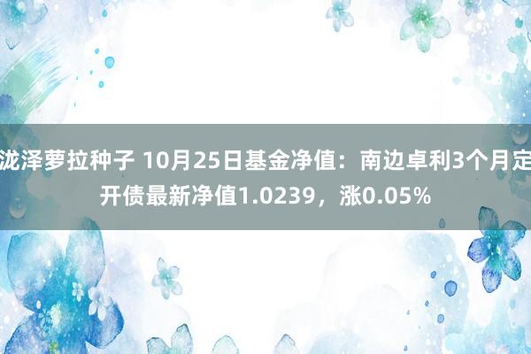 泷泽萝拉种子 10月25日基金净值：南边卓利3个月定开债最新净值1.0239，涨0.05%