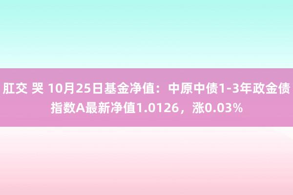 肛交 哭 10月25日基金净值：中原中债1-3年政金债指数A最新净值1.0126，涨0.03%