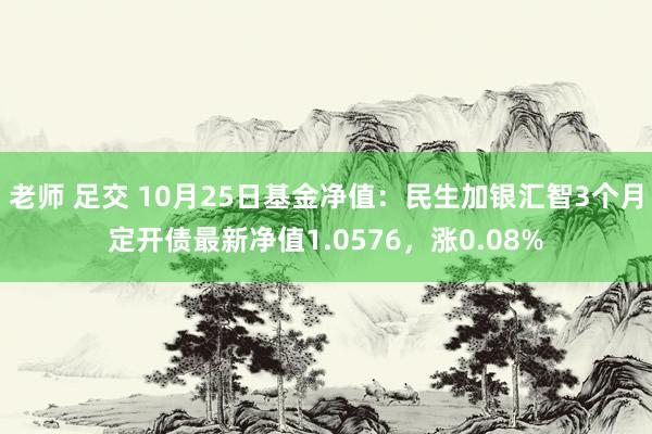 老师 足交 10月25日基金净值：民生加银汇智3个月定开债最新净值1.0576，涨0.08%