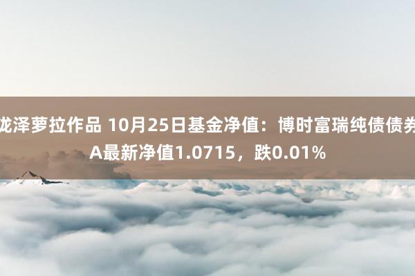 泷泽萝拉作品 10月25日基金净值：博时富瑞纯债债券A最新净值1.0715，跌0.01%