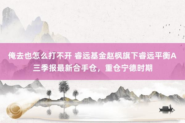 俺去也怎么打不开 睿远基金赵枫旗下睿远平衡A三季报最新合手仓，重仓宁德时期