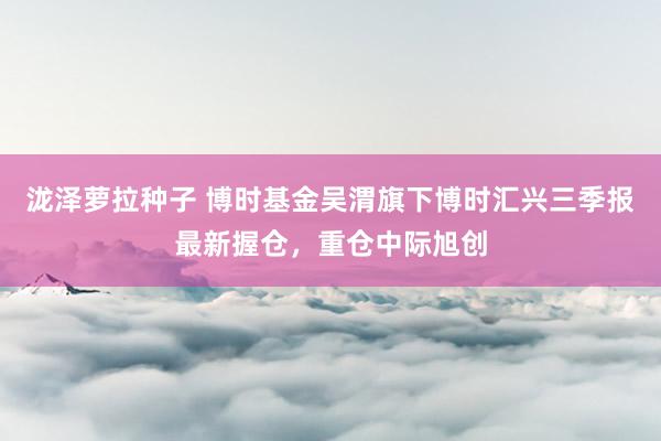 泷泽萝拉种子 博时基金吴渭旗下博时汇兴三季报最新握仓，重仓中际旭创