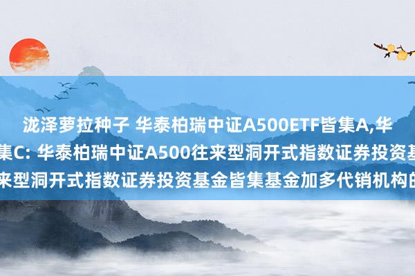 泷泽萝拉种子 华泰柏瑞中证A500ETF皆集A，华泰柏瑞中证A500ETF皆集C: 华泰柏瑞中证A500往来型洞开式指数证券投资基金皆集基金加多代销机构的示知