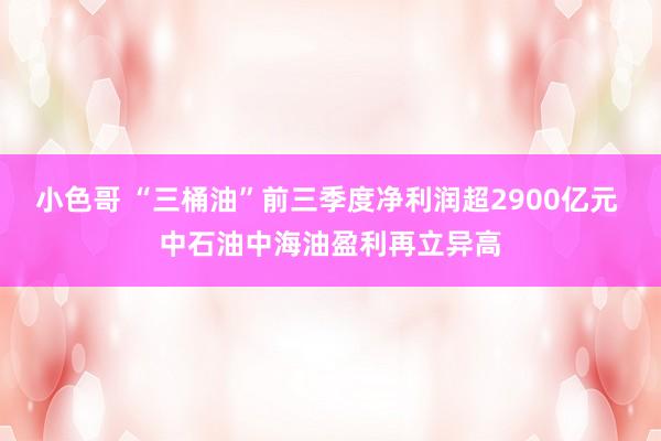 小色哥 “三桶油”前三季度净利润超2900亿元 中石油中海油盈利再立异高