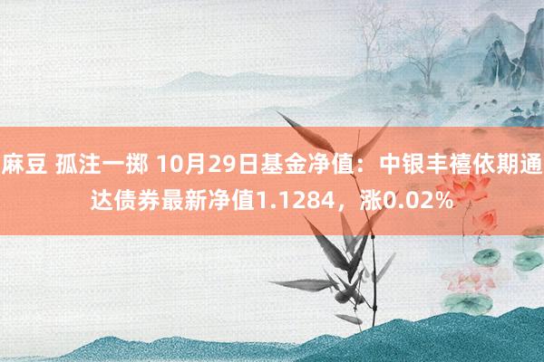 麻豆 孤注一掷 10月29日基金净值：中银丰禧依期通达债券最新净值1.1284，涨0.02%