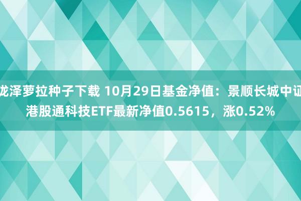 泷泽萝拉种子下载 10月29日基金净值：景顺长城中证港股通科技ETF最新净值0.5615，涨0.52%