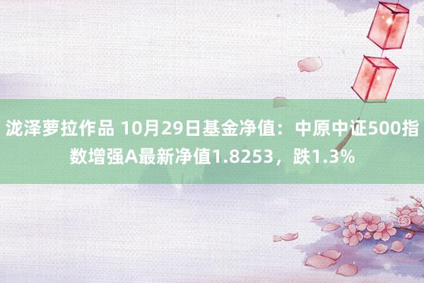 泷泽萝拉作品 10月29日基金净值：中原中证500指数增强A最新净值1.8253，跌1.3%