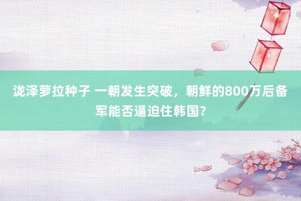 泷泽萝拉种子 一朝发生突破，朝鲜的800万后备军能否逼迫住韩国？