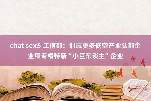 chat sex5 工信部：训诫更多低空产业头部企业和专精特新“小巨东谈主”企业