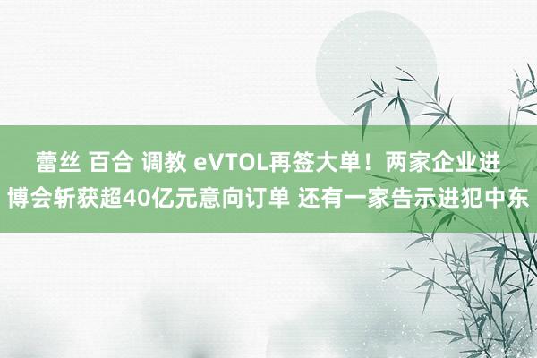 蕾丝 百合 调教 eVTOL再签大单！两家企业进博会斩获超40亿元意向订单 还有一家告示进犯中东