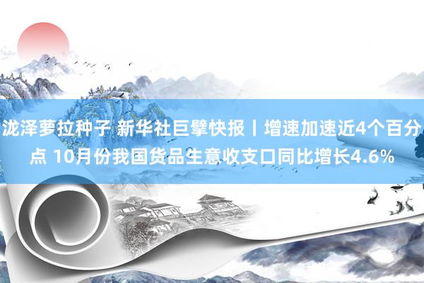 泷泽萝拉种子 新华社巨擘快报丨增速加速近4个百分点 10月份我国货品生意收支口同比增长4.6%